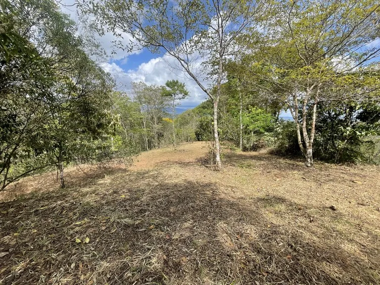 Elevated Two and a Half Acres with Cool Breeze in San Isidro del General, photo 10