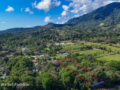 A large jungle-clad piece of land with mountain views, internal creek, and river frontage., photo 2