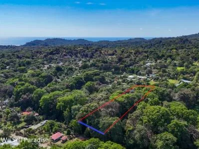 A large jungle-clad piece of land with mountain views, internal creek, and river frontage., photo 3