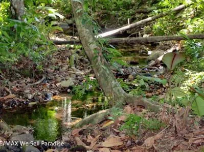 A large jungle-clad piece of land with mountain views, internal creek, and river frontage., photo 8