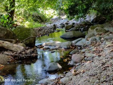 A large jungle-clad piece of land with mountain views, internal creek, and river frontage., photo 9