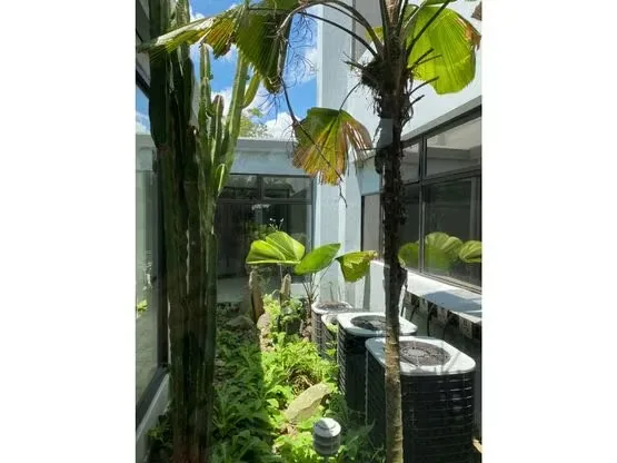 DESCRIPCIÓN DETALLADA: edificio independiente ubicado en Sabana ..., photo 10