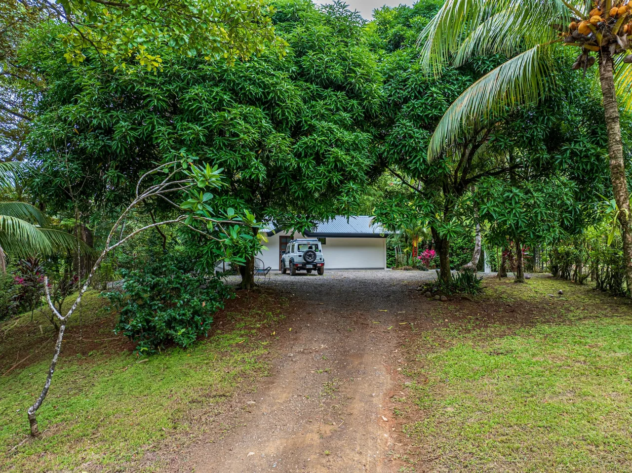 LUXURY JUNGLE ESTATE WITH GUEST HOUSE AND 10.87 ACRES, IN OJOCHAL, photo 16