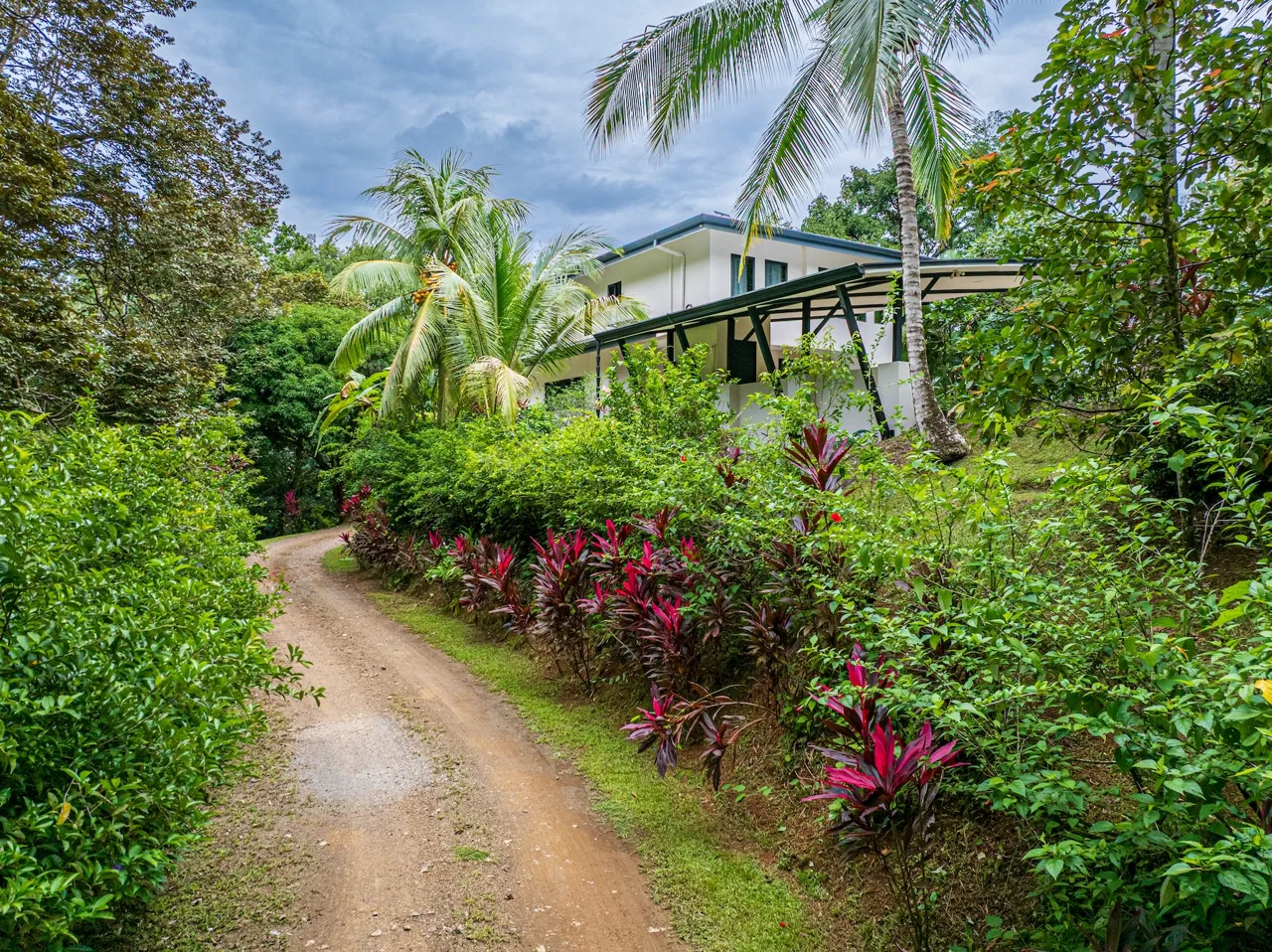 LUXURY JUNGLE ESTATE WITH GUEST HOUSE AND 10.87 ACRES, IN OJOCHAL, photo 17