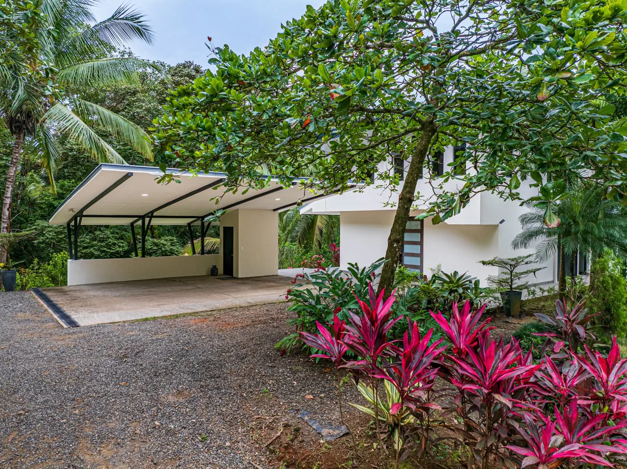 LUXURY JUNGLE ESTATE WITH GUEST HOUSE AND 10.87 ACRES, IN OJOCHAL, photo 3