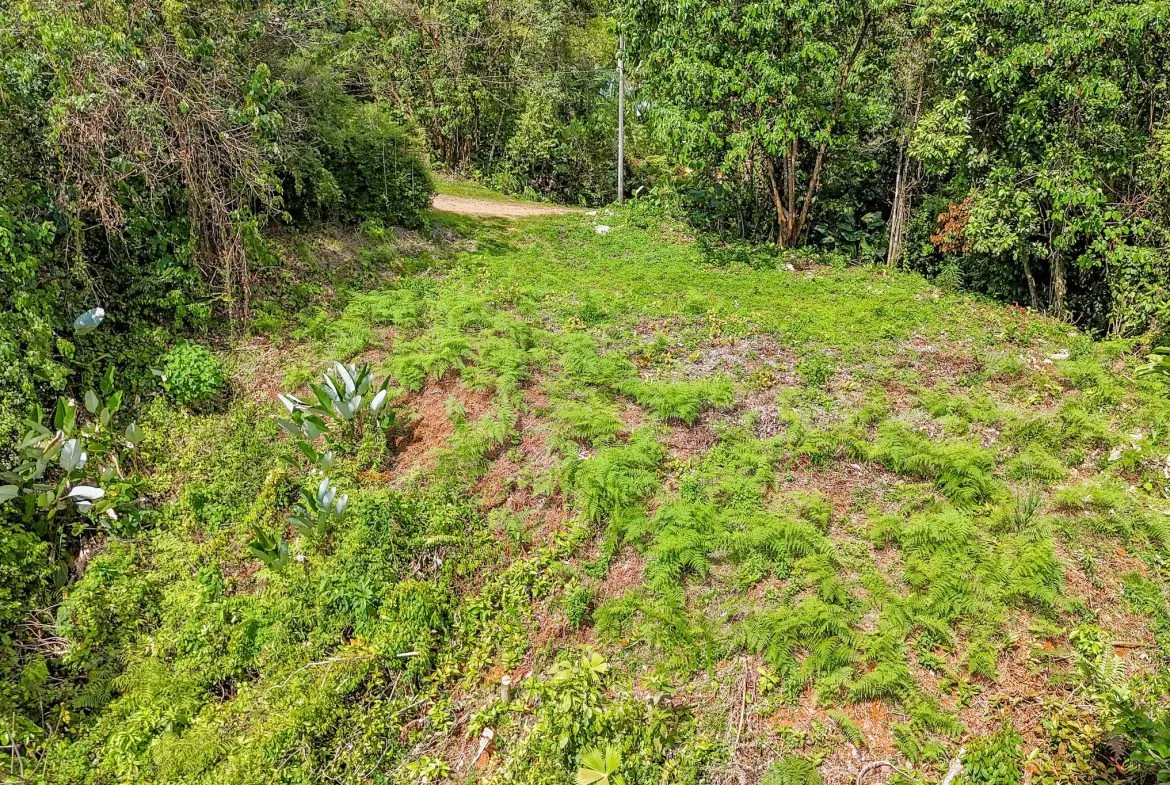 BUILDING PROPERTY WITH MOUNTAIN VIEWS, IN OJOCHAL – 1.75 ACRES, photo 2