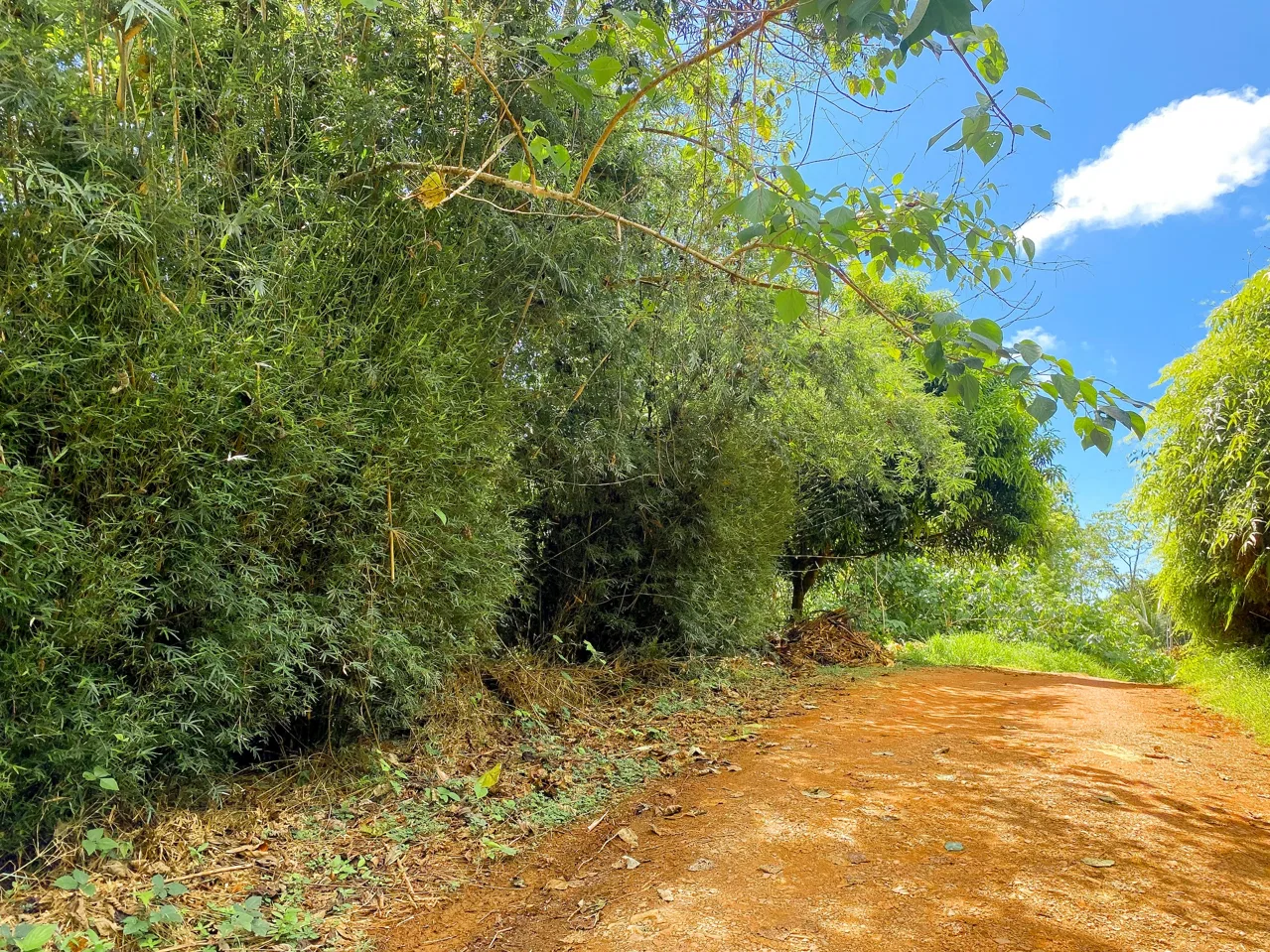 BUILDING PROPERTY WITH MOUNTAIN VIEWS, IN OJOCHAL – 1.75 ACRES, photo 11