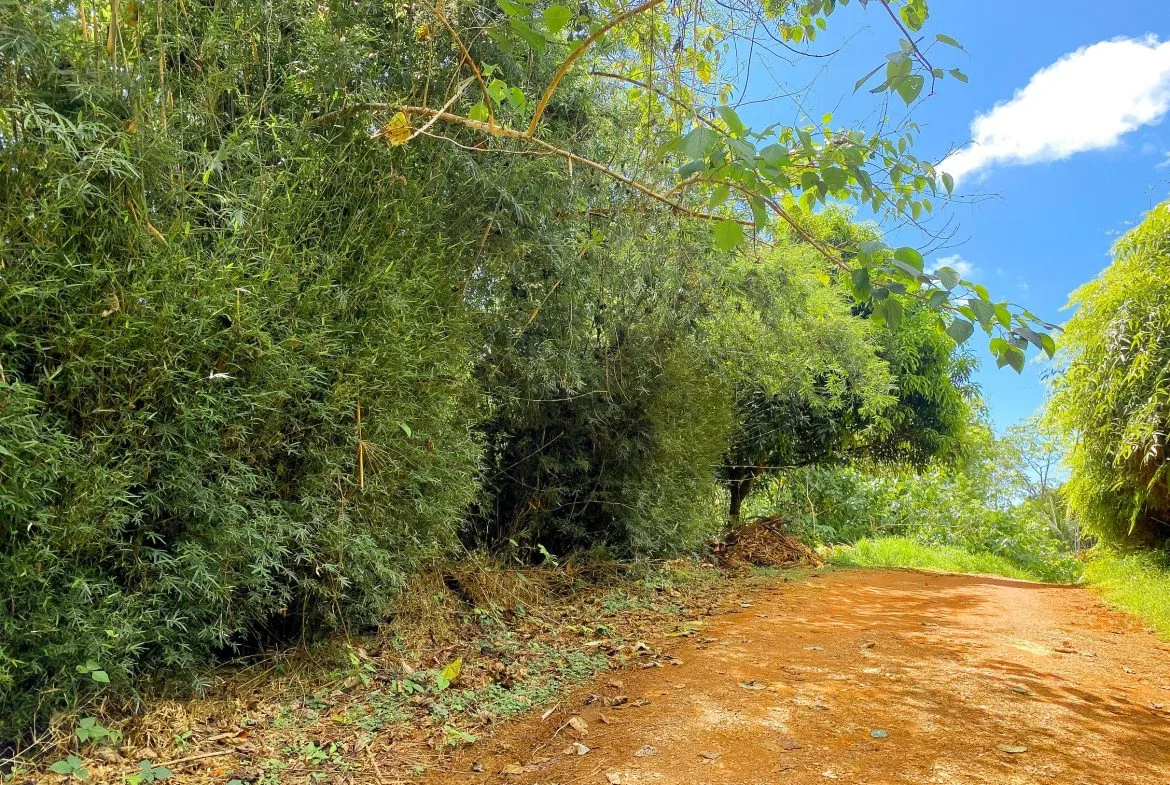BUILDING PROPERTY WITH MOUNTAIN VIEWS, IN OJOCHAL – 1.75 ACRES, photo 12