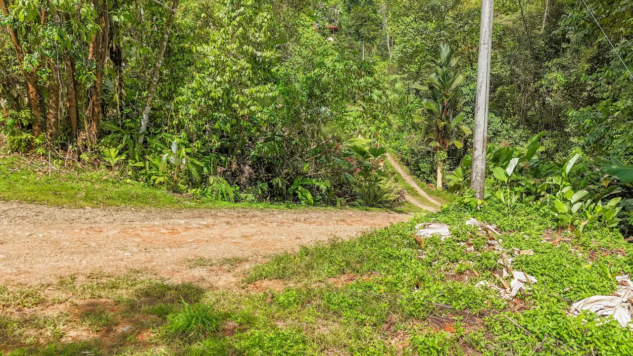 BUILDING PROPERTY WITH MOUNTAIN VIEWS, IN OJOCHAL – 1.75 ACRES, photo 13