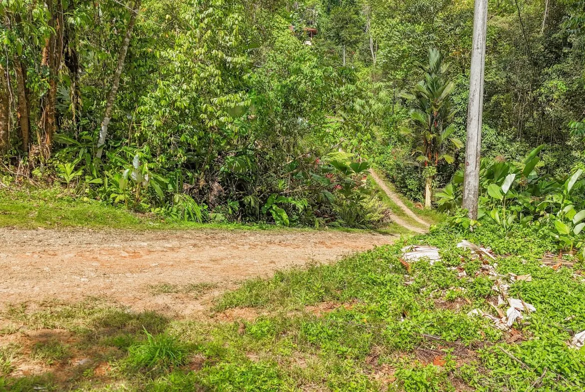 BUILDING PROPERTY WITH MOUNTAIN VIEWS, IN OJOCHAL – 1.75 ACRES, photo 14