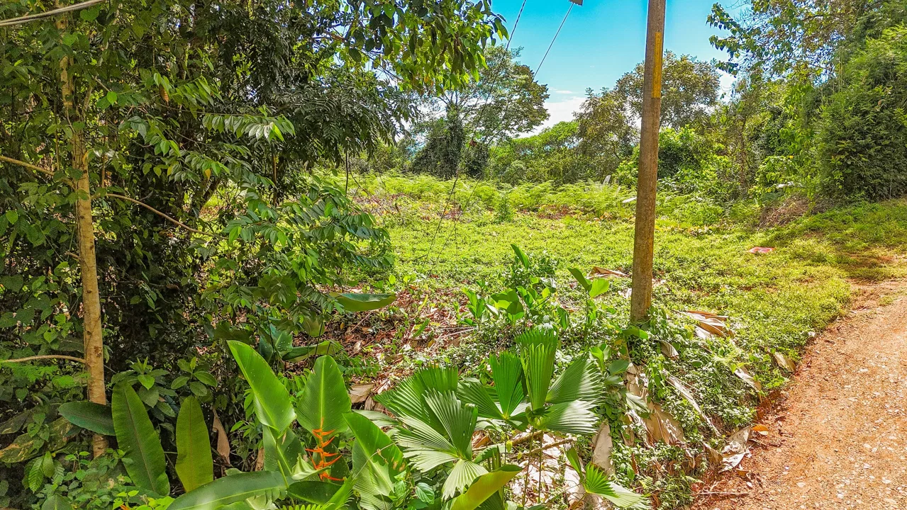 BUILDING PROPERTY WITH MOUNTAIN VIEWS, IN OJOCHAL – 1.75 ACRES, photo 15