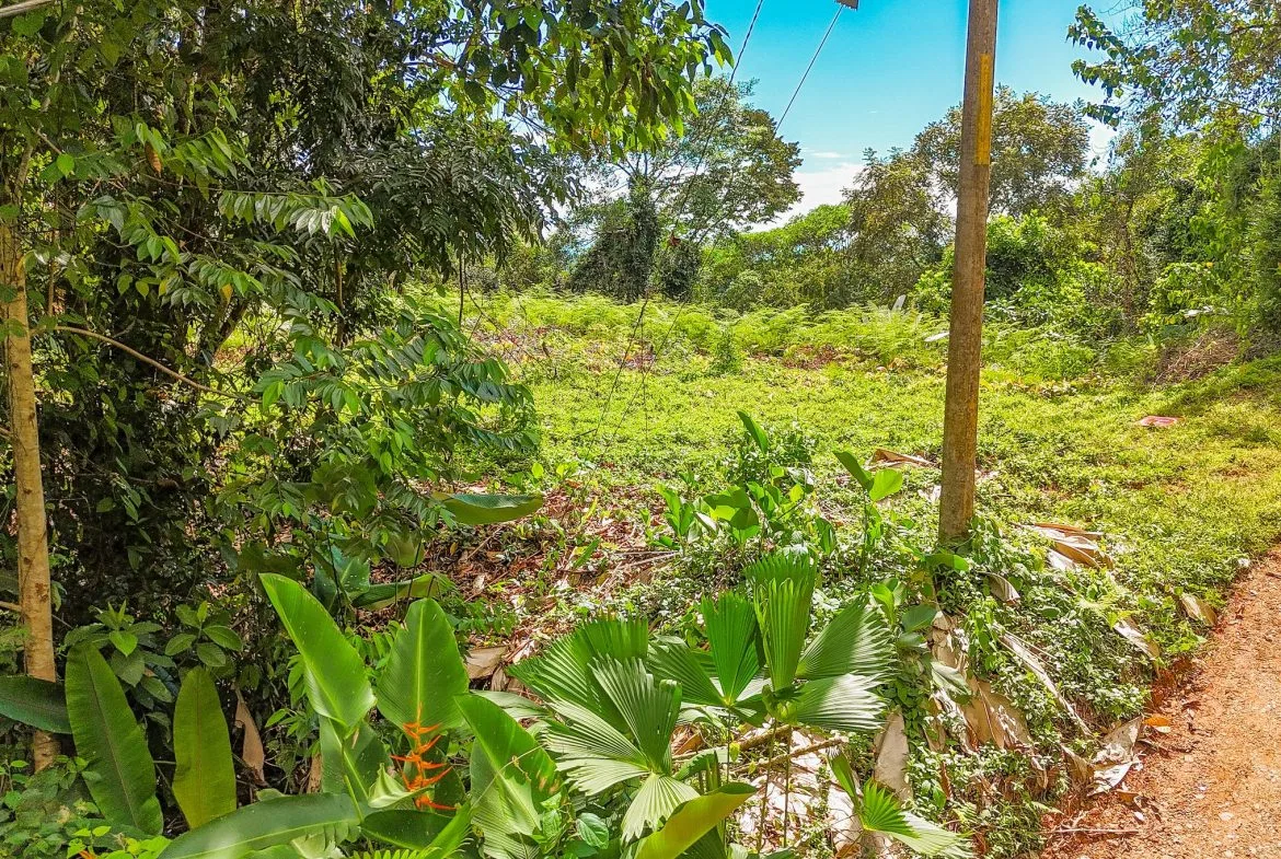 BUILDING PROPERTY WITH MOUNTAIN VIEWS, IN OJOCHAL – 1.75 ACRES, photo 16