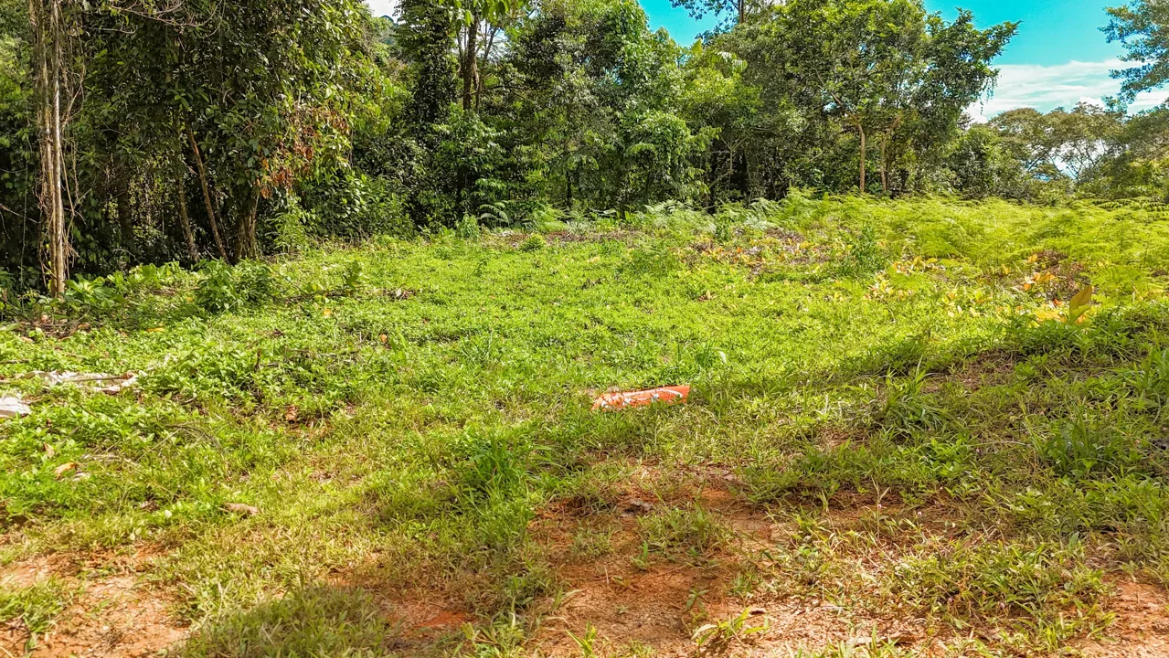 BUILDING PROPERTY WITH MOUNTAIN VIEWS, IN OJOCHAL – 1.75 ACRES, photo 17