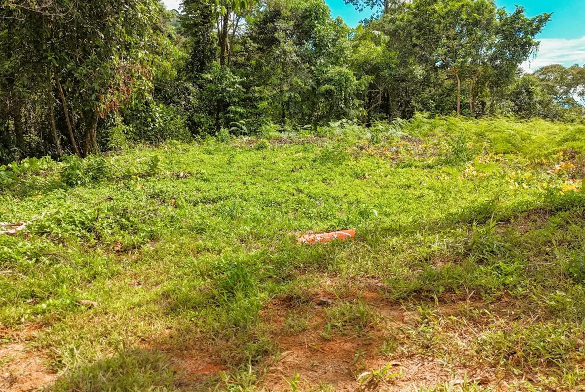 BUILDING PROPERTY WITH MOUNTAIN VIEWS, IN OJOCHAL – 1.75 ACRES, photo 18