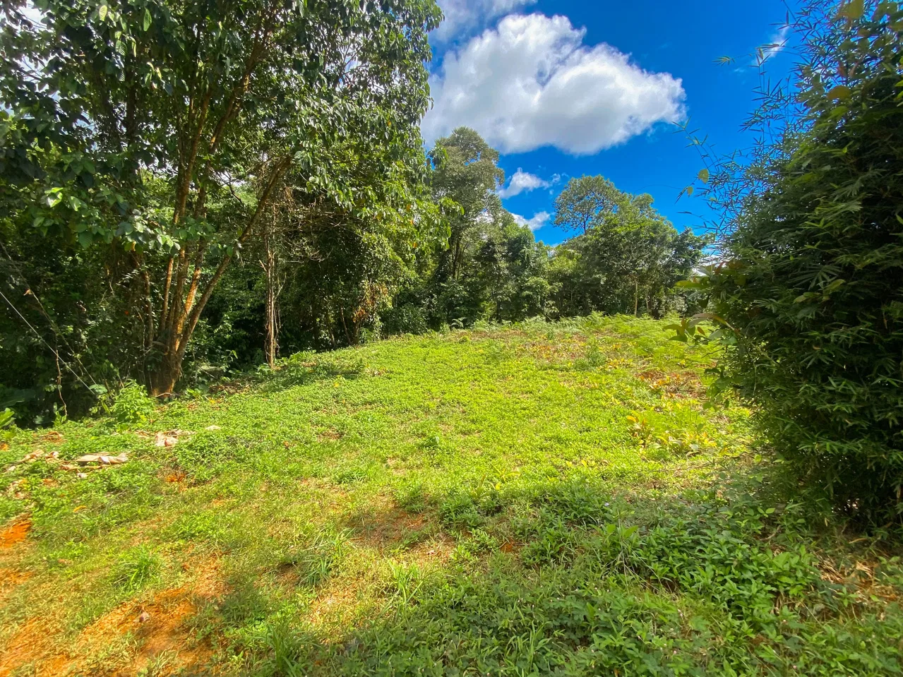 BUILDING PROPERTY WITH MOUNTAIN VIEWS, IN OJOCHAL – 1.75 ACRES, photo 19