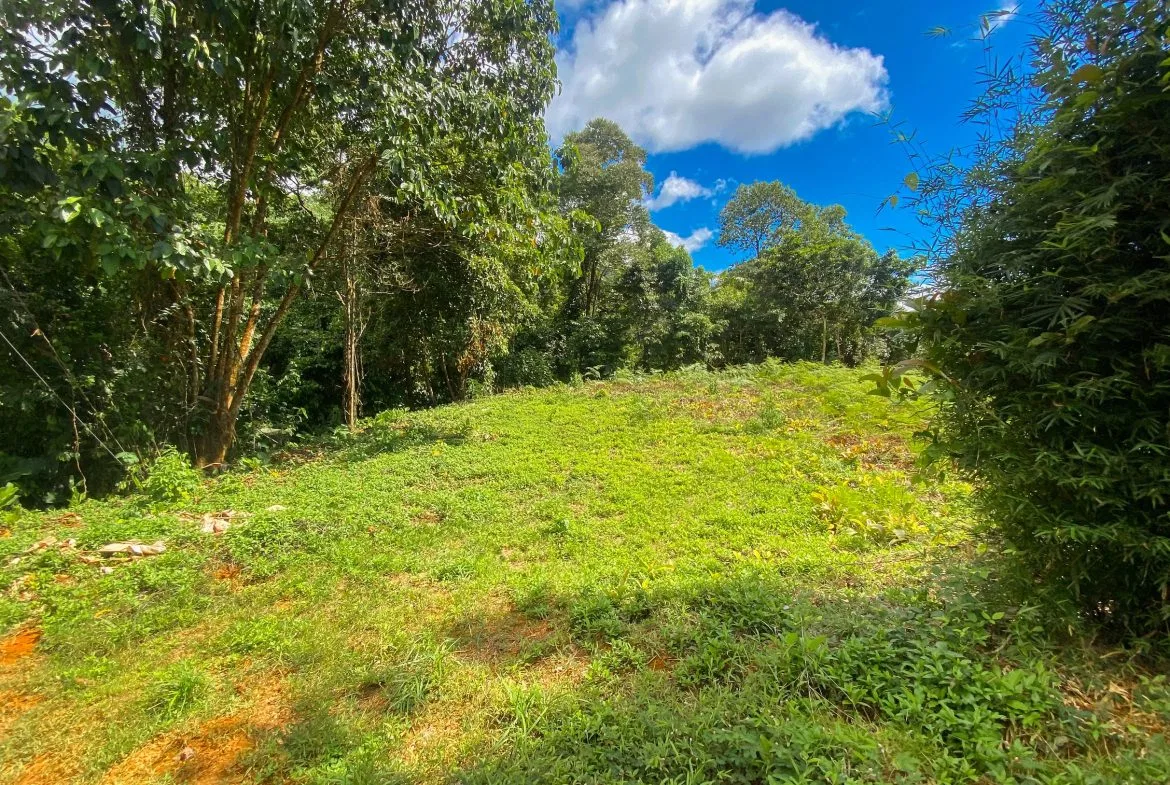 BUILDING PROPERTY WITH MOUNTAIN VIEWS, IN OJOCHAL – 1.75 ACRES, photo 20
