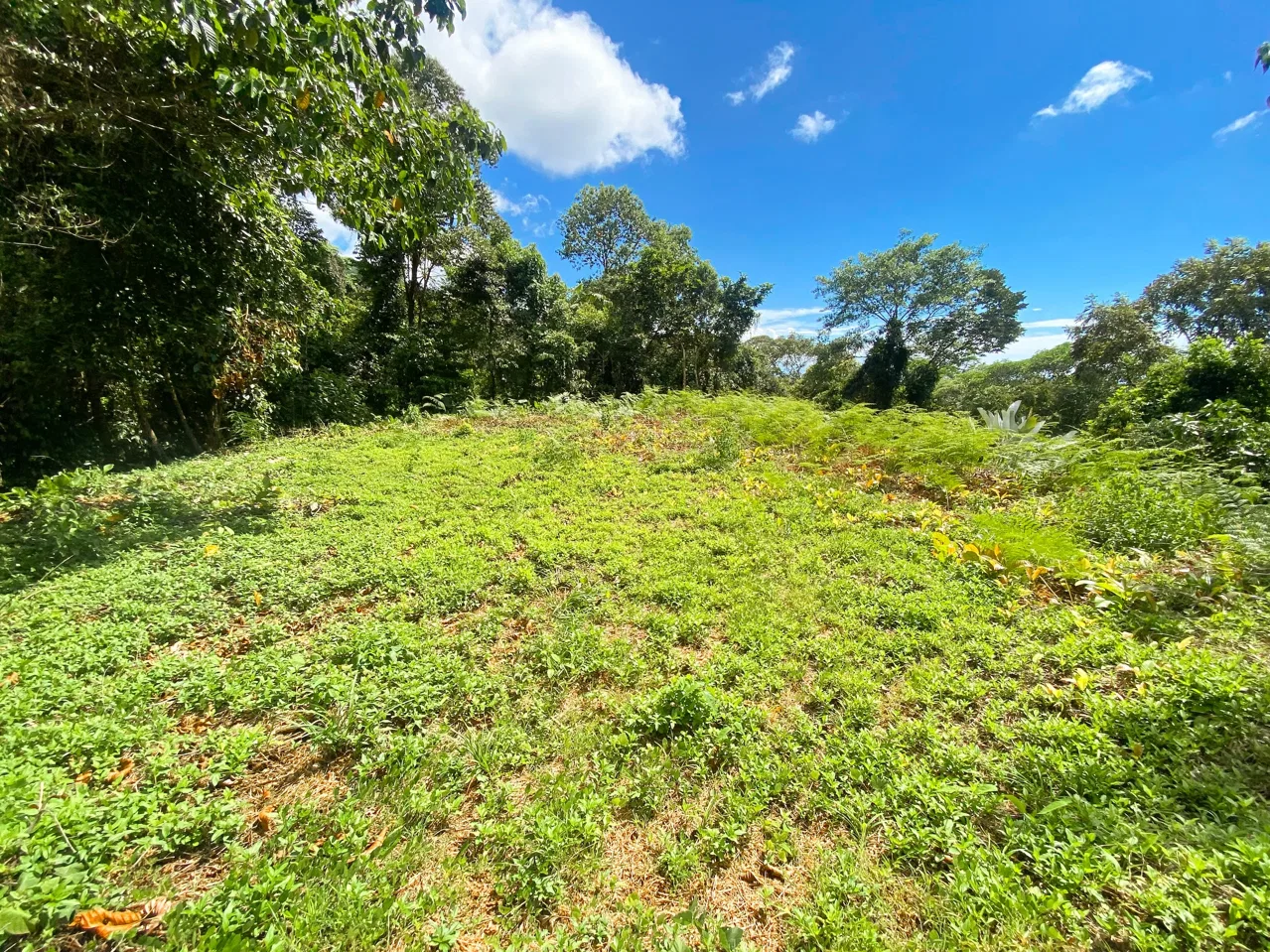 BUILDING PROPERTY WITH MOUNTAIN VIEWS, IN OJOCHAL – 1.75 ACRES, photo 21
