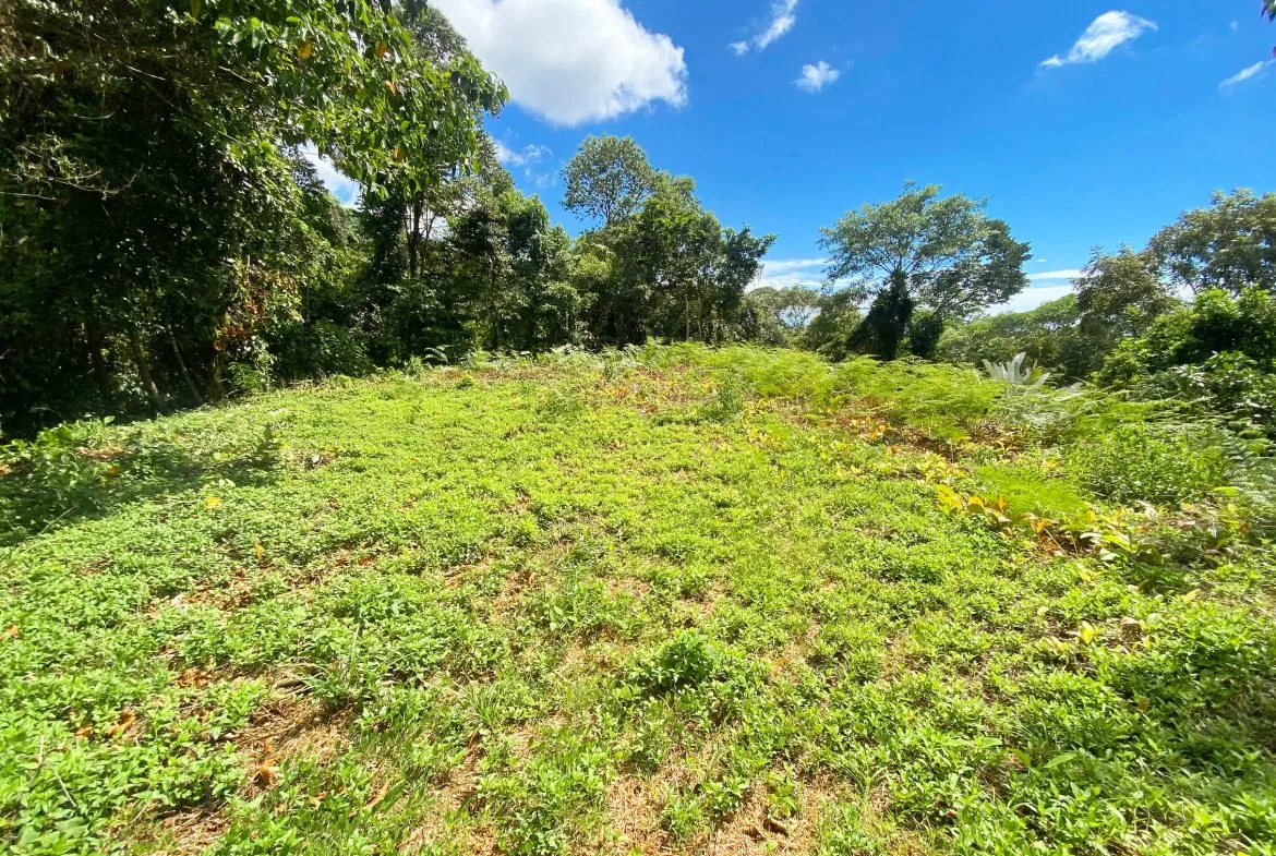 BUILDING PROPERTY WITH MOUNTAIN VIEWS, IN OJOCHAL – 1.75 ACRES, photo 22