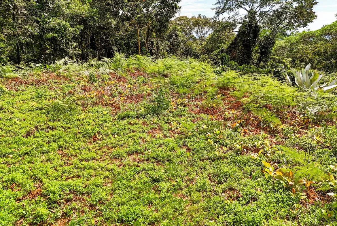 BUILDING PROPERTY WITH MOUNTAIN VIEWS, IN OJOCHAL – 1.75 ACRES, photo 24