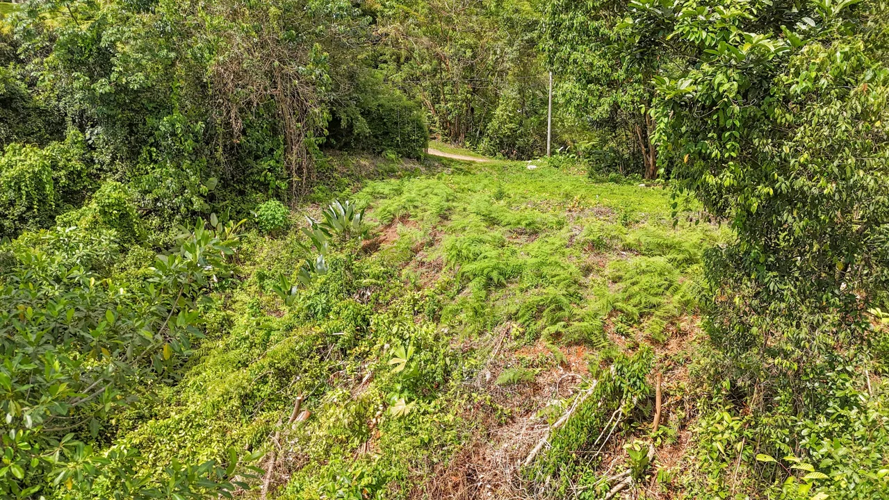 BUILDING PROPERTY WITH MOUNTAIN VIEWS, IN OJOCHAL – 1.75 ACRES, photo 5