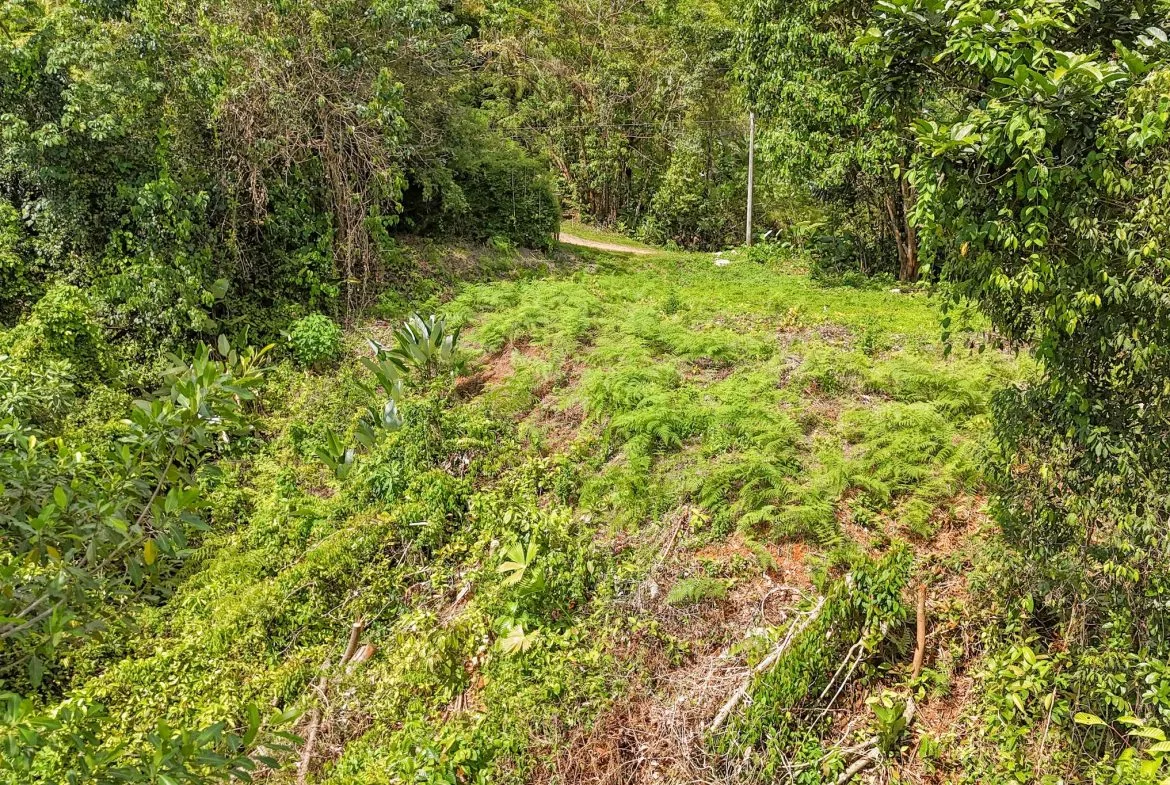 BUILDING PROPERTY WITH MOUNTAIN VIEWS, IN OJOCHAL – 1.75 ACRES, photo 6