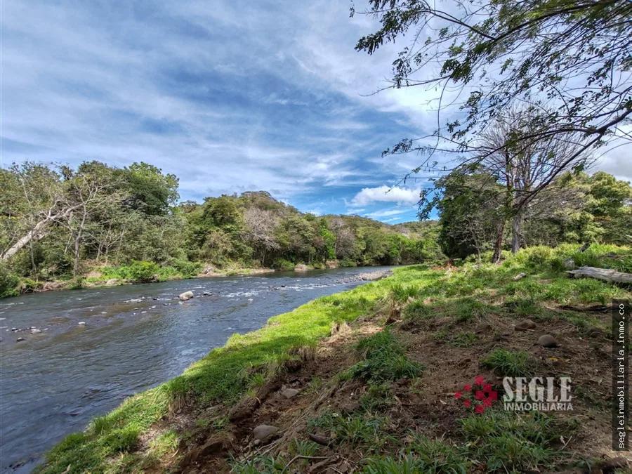 Finca en venta, Cañas, Guanacaste.