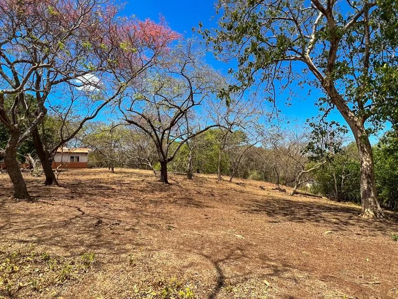 Land For Sale in Junquillal, photo 6