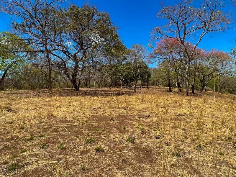 Land For Sale in Junquillal, photo 7