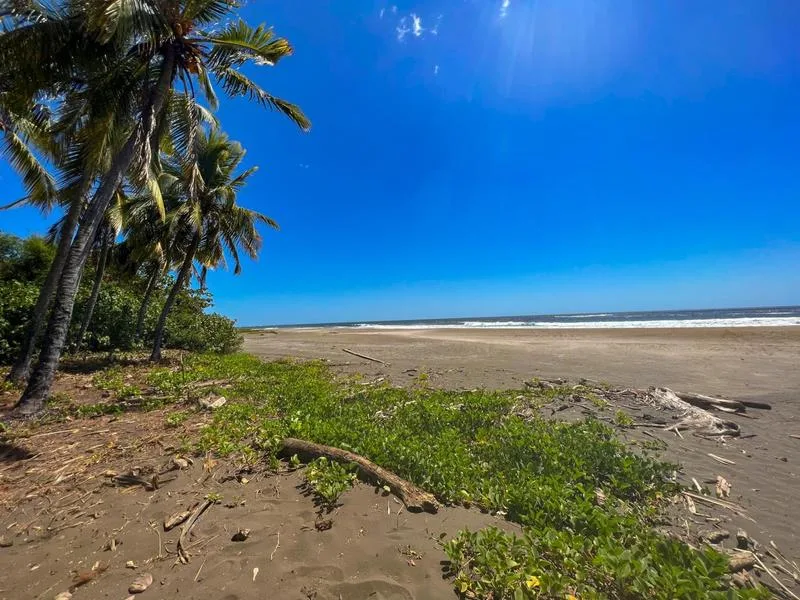 Land For Sale in Junquillal, photo 8