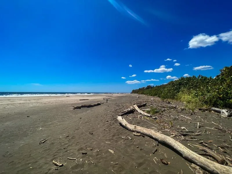 Land For Sale in Junquillal, photo 9