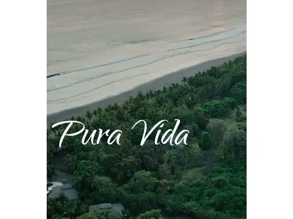 I present this beautiful property located in Playa Palo Seco, with great potential. It consists of a hotel with all the amenities, situated in a paradisiacal location where the ..., photo 13