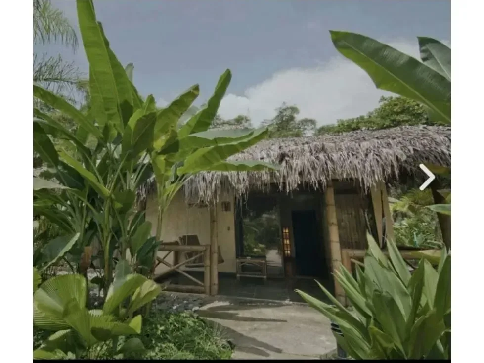I present this beautiful property located in Playa Palo Seco, with great potential. It consists of a hotel with all the amenities, situated in a paradisiacal location where the ..., photo 14