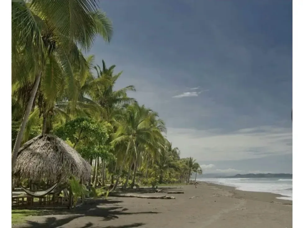 I present this beautiful property located in Playa Palo Seco, with great potential. It consists of a hotel with all the amenities, situated in a paradisiacal location where the ..., photo 4