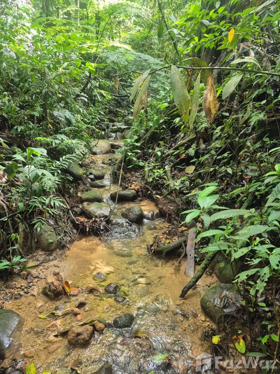 Land for Sale in Perez Zeledon, San Jose for $129,999, photo 2