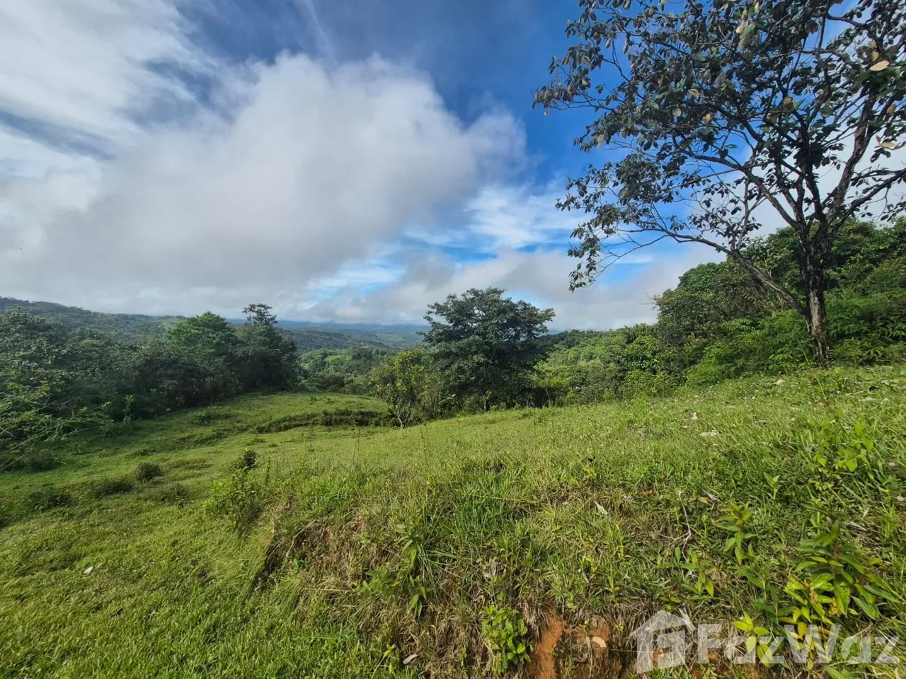 Land for Sale in Perez Zeledon, San Jose for $129,999, photo 11