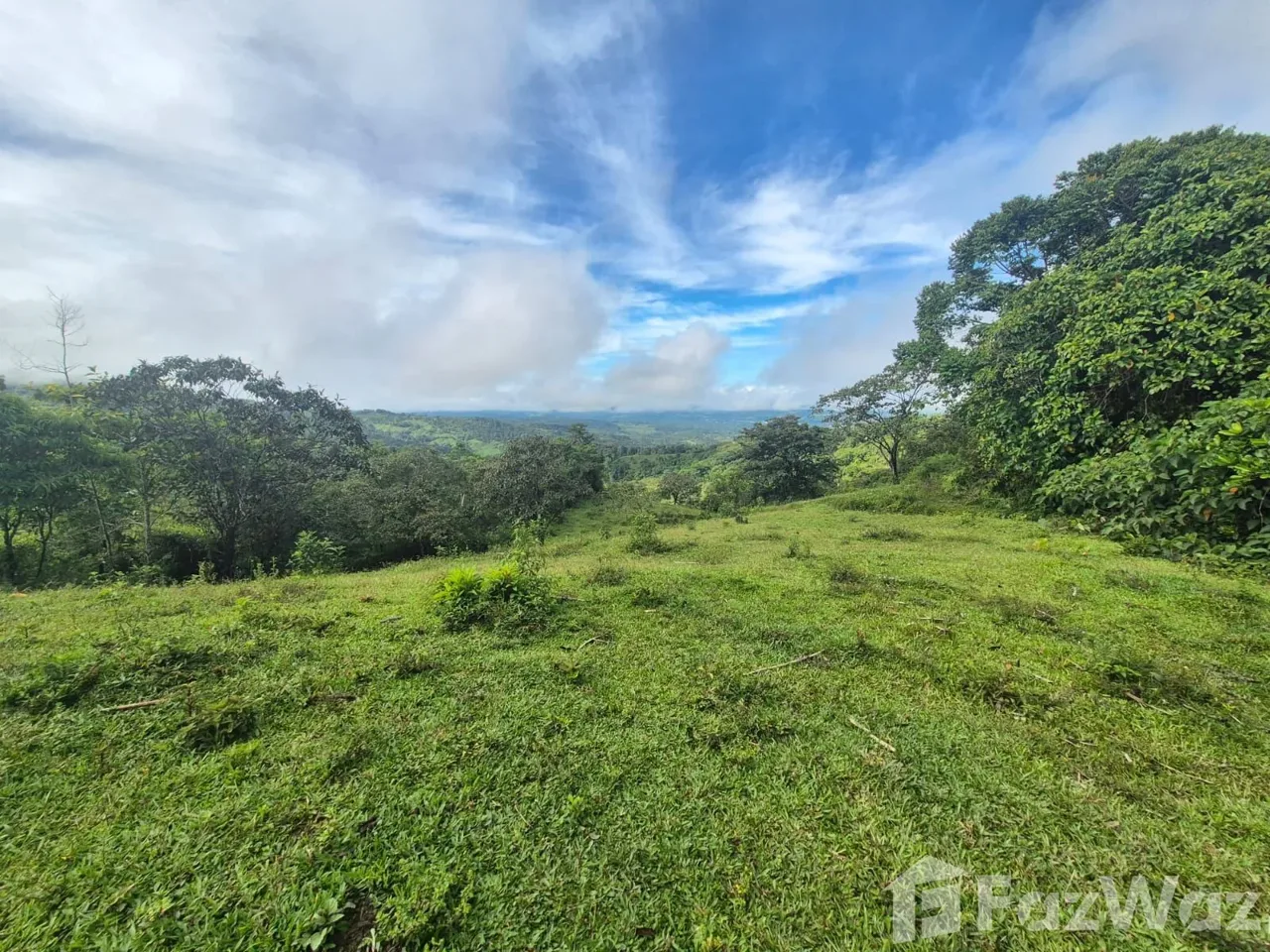 Land for Sale in Perez Zeledon, San Jose for $129,999, photo 12