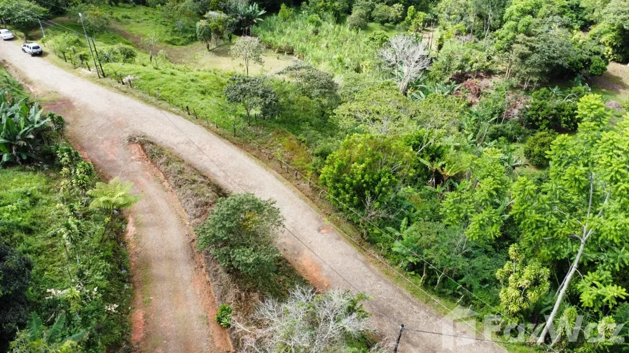 Land for Sale in Perez Zeledon, San Jose for $129,999, photo 3