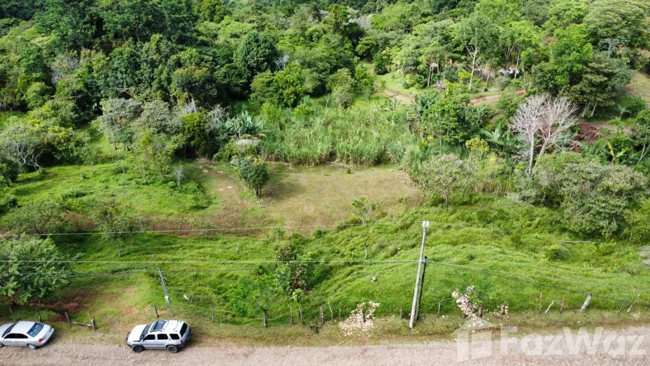 Land for Sale in Perez Zeledon, San Jose for $129,999, photo 4