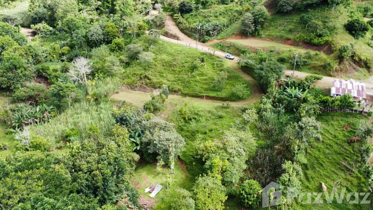 Land for Sale in Perez Zeledon, San Jose for $129,999, photo 6