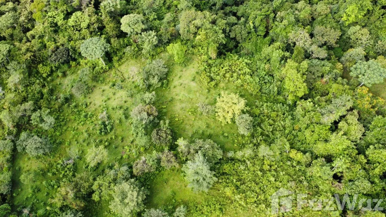 Land for Sale in Perez Zeledon, San Jose for $129,999, photo 7