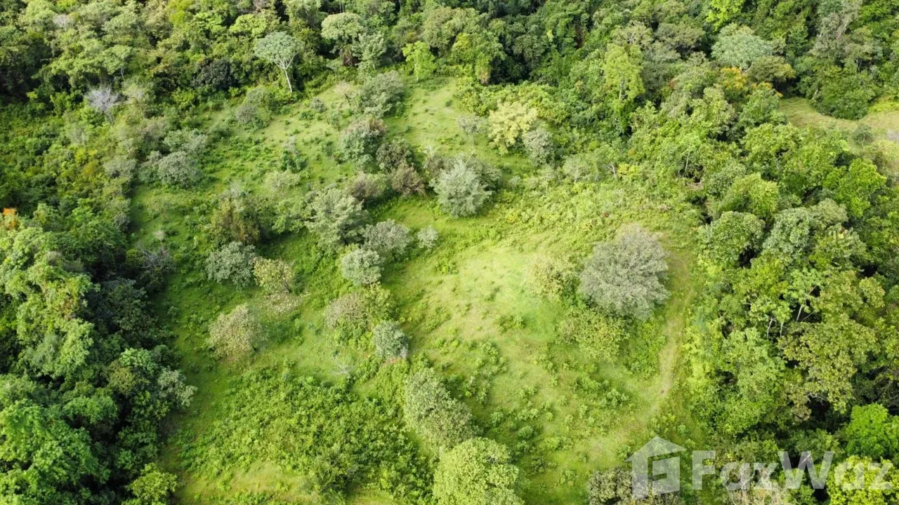 Land for Sale in Perez Zeledon, San Jose for $129,999, photo 8