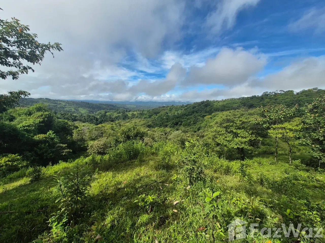 Land for Sale in Perez Zeledon, San Jose for $129,999, photo 9
