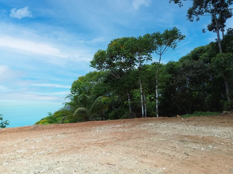 Land For Sale in Dominical, photo 13
