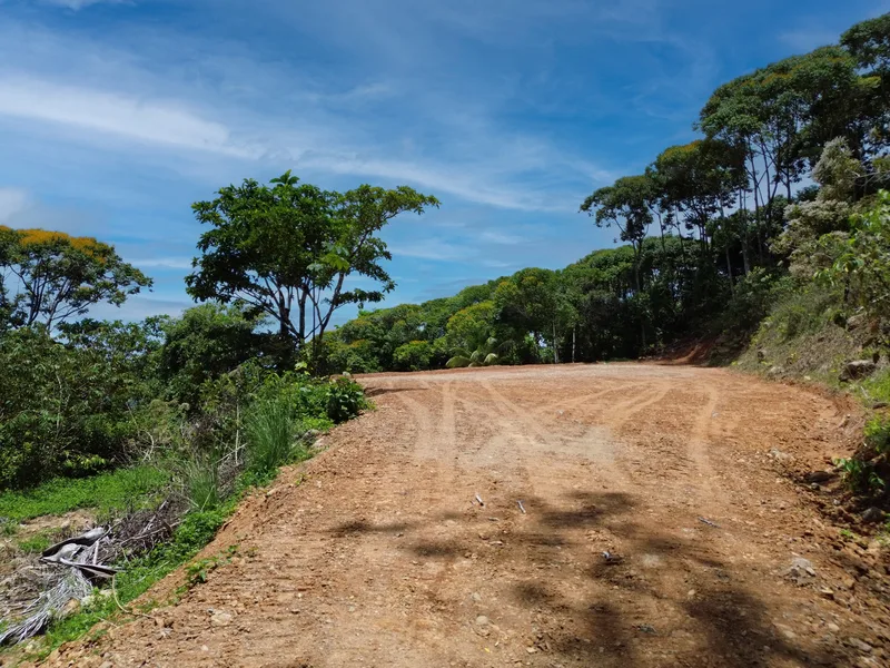 Land For Sale in Dominical, photo 3