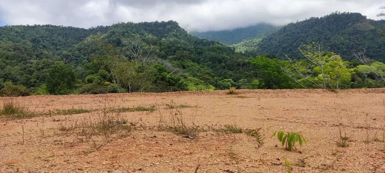 PROPERTY WITH MOUNTAIN VIEW IN TRES RIOS – 2.47 ACRES, photo 13