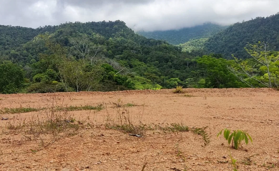 PROPERTY WITH MOUNTAIN VIEW IN TRES RIOS – 2.47 ACRES, photo 14