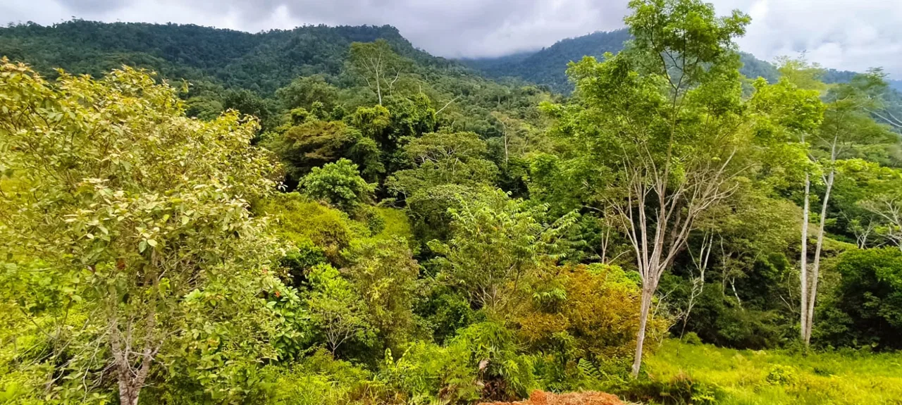 PROPERTY WITH MOUNTAIN VIEW IN TRES RIOS – 2.47 ACRES, photo 17