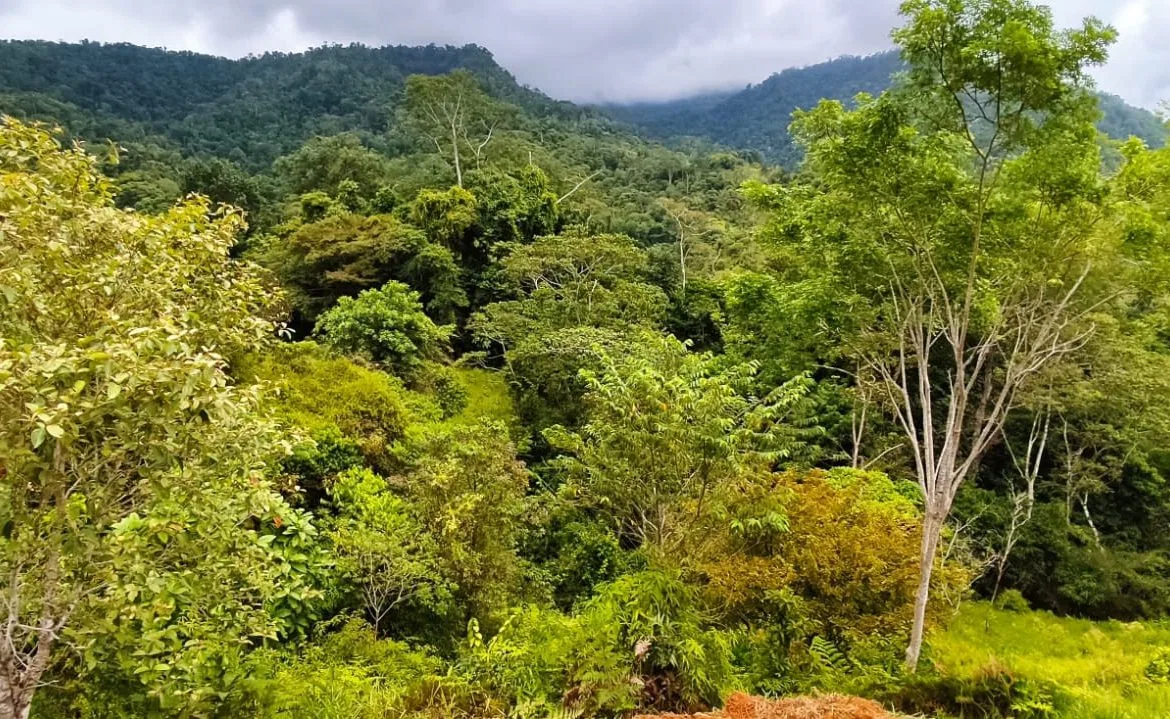 PROPERTY WITH MOUNTAIN VIEW IN TRES RIOS – 2.47 ACRES, photo 18