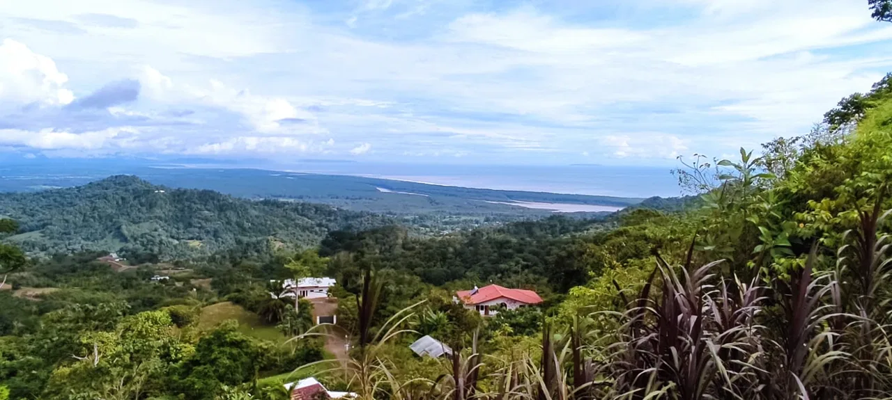 PROPERTY WITH MOUNTAIN VIEW IN TRES RIOS – 2.47 ACRES, photo 5