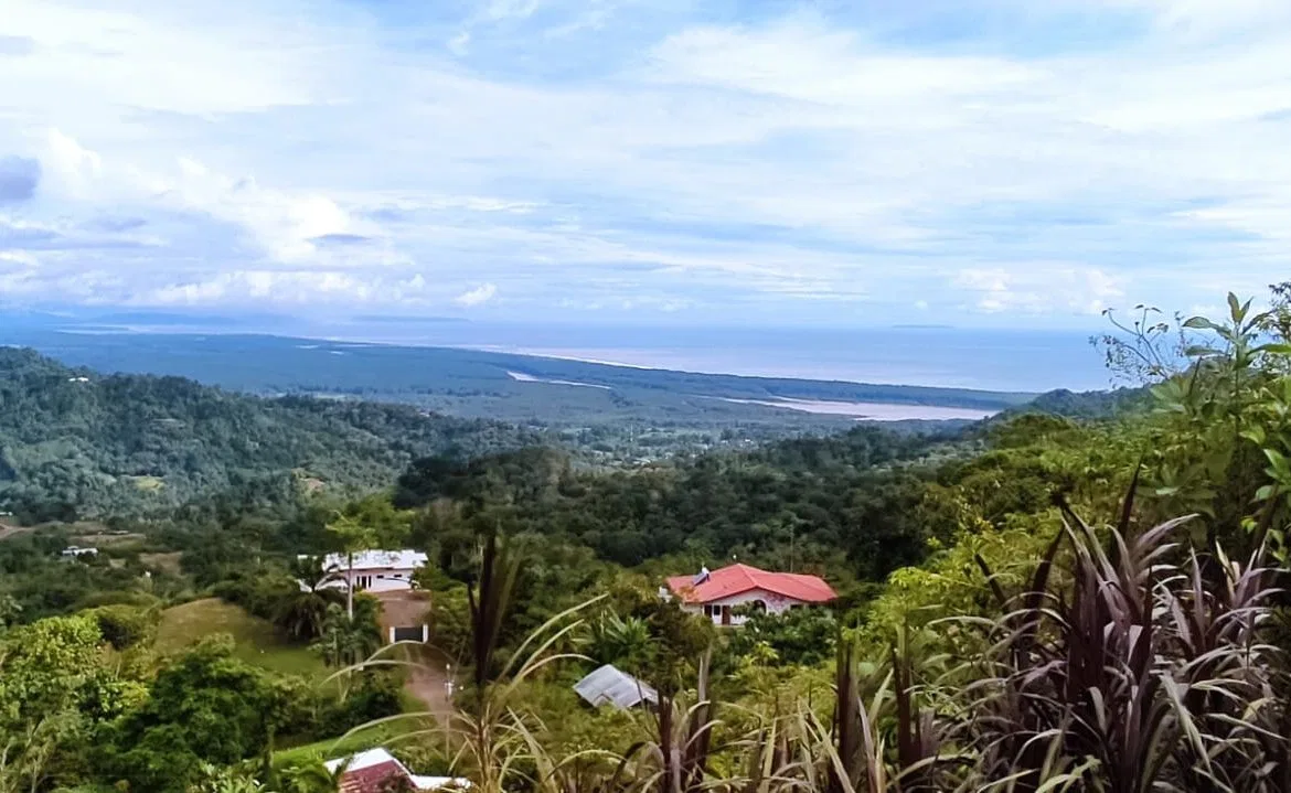 PROPERTY WITH MOUNTAIN VIEW IN TRES RIOS – 2.47 ACRES, photo 6